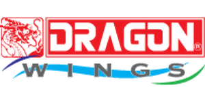 Dragon Space